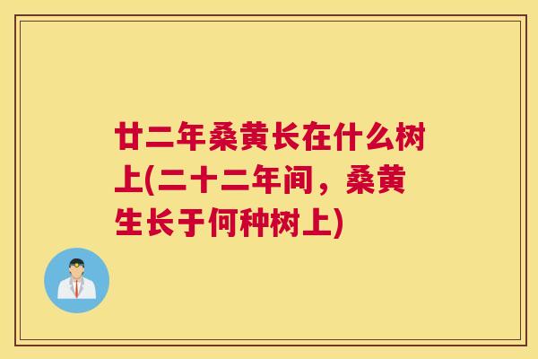 廿二年桑黄长在什么树上(二十二年间,桑黄生长于何种树上) 廿二年桑黄长在什么树上(二十二年间,桑黄生长于何种树上)