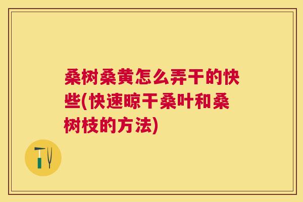 桑树桑黄怎么弄干的快些(快速晾干桑叶和桑树枝的方法) 桑树桑黄怎么弄干的快些(快速晾干桑叶和桑树枝的方法)