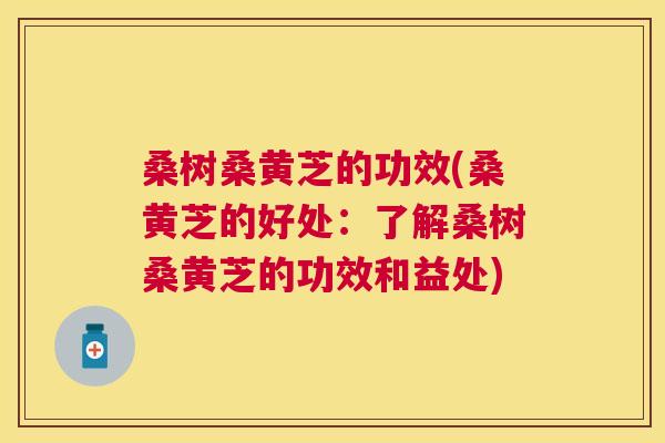 桑树桑黄芝的功效(桑黄芝的好处：了解桑树桑黄芝的功效和益处)