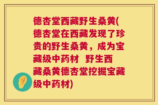 德杏堂西藏野生桑黄(德杏堂在西藏发现了珍贵的野生桑黄,成为宝藏级材 野生西藏桑黄德杏堂挖掘宝藏级材) 德杏堂西藏野生桑黄(德杏堂在西藏发现了珍贵的野生桑黄,成为宝藏级材 野生西藏桑黄德杏堂挖掘宝藏级材)