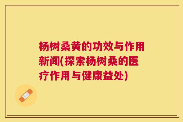 杨树桑黄的功效与作用新闻(探索杨树桑的医疗作用与健康益处) 杨树桑黄的功效与作用新闻(探索杨树桑的医疗作用与健康益处)