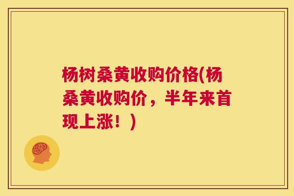 杨树桑黄收购价格(杨桑黄收购价，半年来首现上涨！)