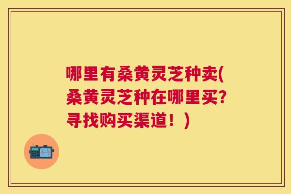 哪里有桑黄灵芝种卖(桑黄灵芝种在哪里买?寻找购买渠道!) 哪里有桑黄灵芝种卖(桑黄灵芝种在哪里买?寻找购买渠道!)