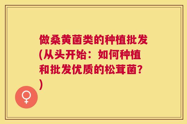 做桑黄菌类的种植批发(从头开始:如何种植和批发优质的松茸菌?) 做桑黄菌类的种植批发(从头开始:如何种植和批发优质的松茸菌?)