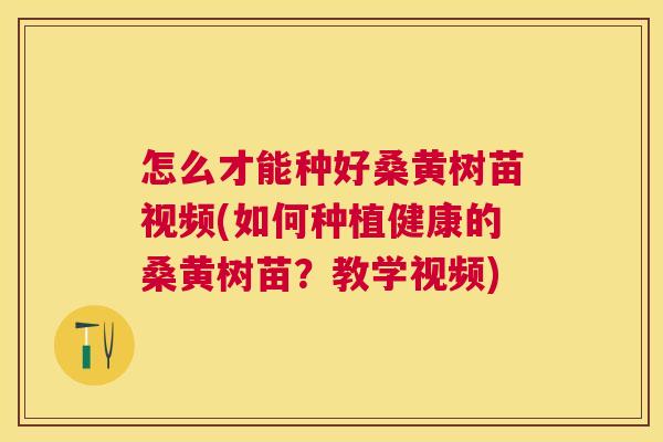 怎么才能种好桑黄树苗视频(如何种植健康的桑黄树苗?教学视频) 怎么才能种好桑黄树苗视频(如何种植健康的桑黄树苗?教学视频)