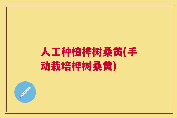 人工种植桦树桑黄(手动栽培桦树桑黄) 人工种植桦树桑黄(手动栽培桦树桑黄)