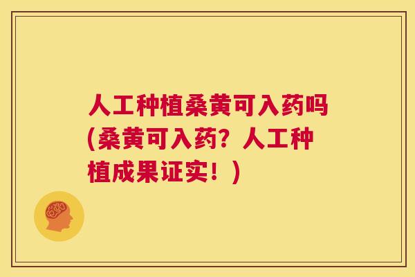 人工种植桑黄可入药吗(桑黄可入药?人工种植成果证实!) 人工种植桑黄可入药吗(桑黄可入药?人工种植成果证实!)