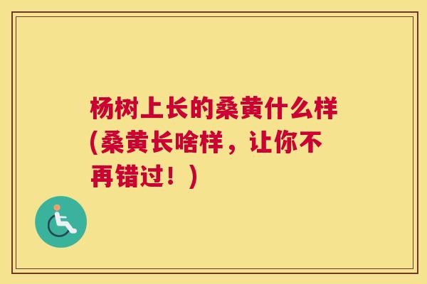 杨树上长的桑黄什么样(桑黄长啥样,让你不再错过!) 杨树上长的桑黄什么样(桑黄长啥样,让你不再错过!)