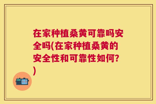 在家种植桑黄可靠吗安全吗(在家种植桑黄的安全性和可靠性如何?) 在家种植桑黄可靠吗安全吗(在家种植桑黄的安全性和可靠性如何?)