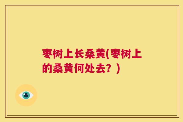 枣树上长桑黄(枣树上的桑黄何处去?) 枣树上长桑黄(枣树上的桑黄何处去?)