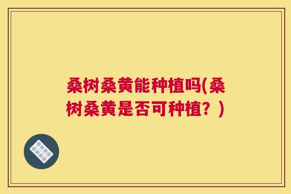 桑树桑黄能种植吗(桑树桑黄是否可种植?) 桑树桑黄能种植吗(桑树桑黄是否可种植?)