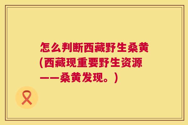 怎么判断西藏野生桑黄(西藏现重要野生资源——桑黄发现。) 怎么判断西藏野生桑黄(西藏现重要野生资源——桑黄发现。)