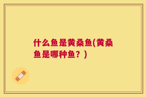 什么鱼是黄桑鱼(黄桑鱼是哪种鱼?) 什么鱼是黄桑鱼(黄桑鱼是哪种鱼?)