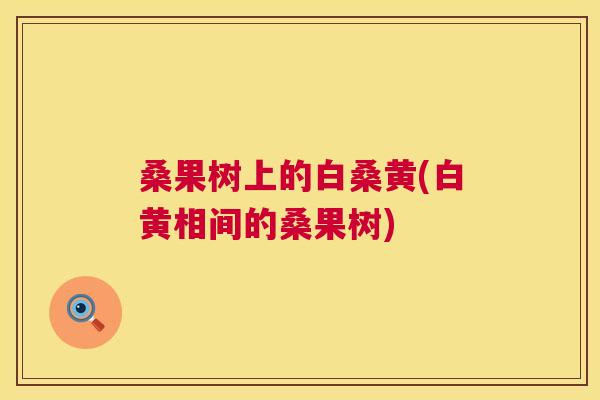 桑果树上的白桑黄(白黄相间的桑果树) 桑果树上的白桑黄(白黄相间的桑果树)
