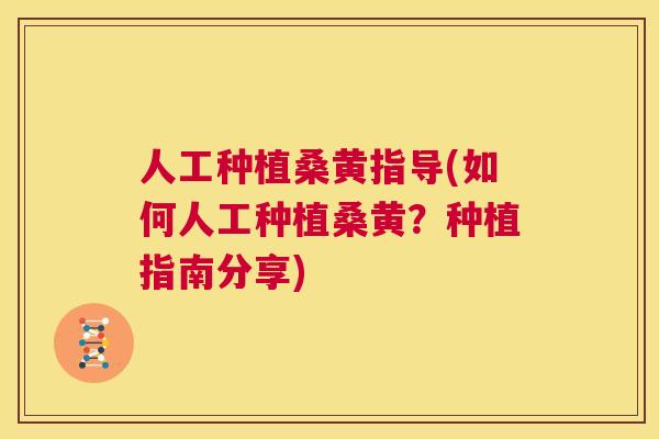 人工种植桑黄指导(如何人工种植桑黄?种植指南分享) 人工种植桑黄指导(如何人工种植桑黄?种植指南分享)