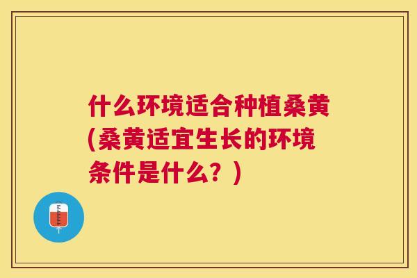什么环境适合种植桑黄(桑黄适宜生长的环境条件是什么?) 什么环境适合种植桑黄(桑黄适宜生长的环境条件是什么?)
