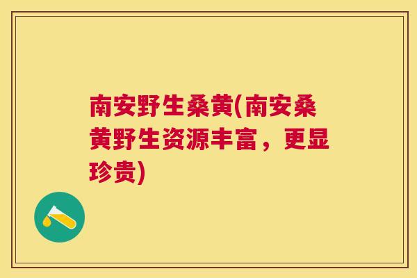 南安野生桑黄(南安桑黄野生资源丰富,更显珍贵) 南安野生桑黄(南安桑黄野生资源丰富,更显珍贵)