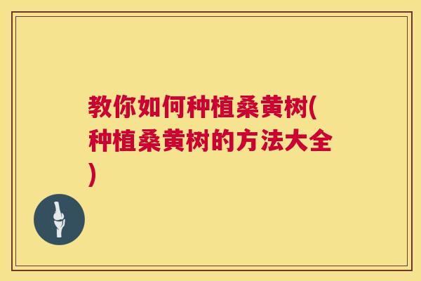 教你如何种植桑黄树(种植桑黄树的方法大全) 教你如何种植桑黄树(种植桑黄树的方法大全)