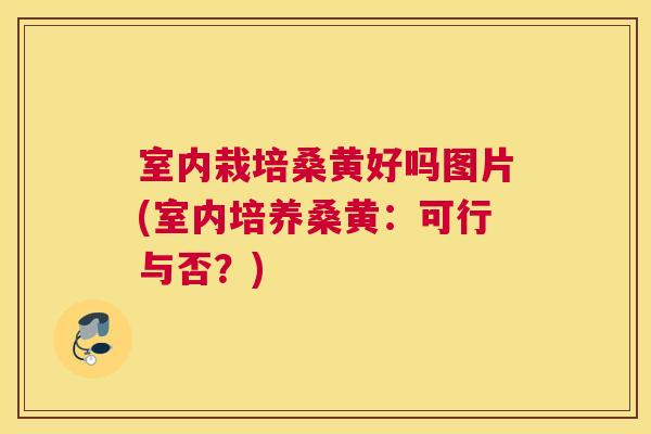 室内栽培桑黄好吗图片(室内培养桑黄:可行与否?) 室内栽培桑黄好吗图片(室内培养桑黄:可行与否?)