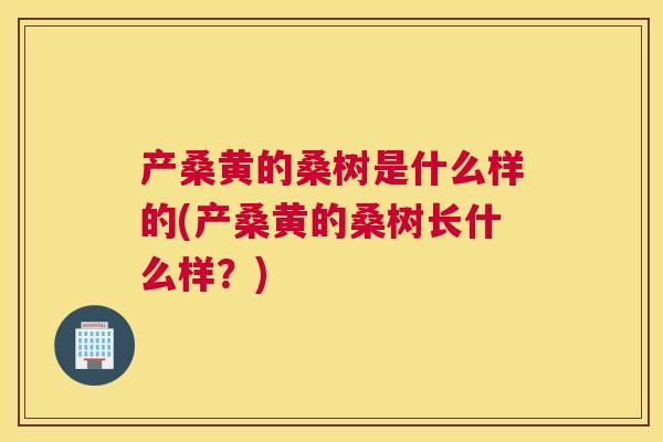 产桑黄的桑树是什么样的(产桑黄的桑树长什么样?) 产桑黄的桑树是什么样的(产桑黄的桑树长什么样?)