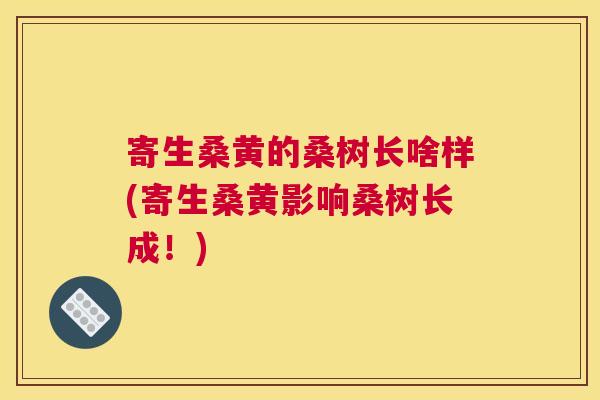 寄生桑黄的桑树长啥样(寄生桑黄影响桑树长成!) 寄生桑黄的桑树长啥样(寄生桑黄影响桑树长成!)
