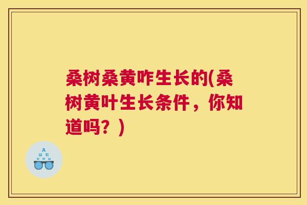 桑树桑黄咋生长的(桑树黄叶生长条件,你知道吗?) 桑树桑黄咋生长的(桑树黄叶生长条件,你知道吗?)