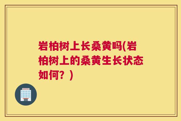 岩柏树上长桑黄吗(岩柏树上的桑黄生长状态如何?) 岩柏树上长桑黄吗(岩柏树上的桑黄生长状态如何?)