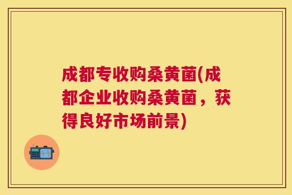 成都专收购桑黄菌(成都企业收购桑黄菌,获得良好市场前景) 成都专收购桑黄菌(成都企业收购桑黄菌,获得良好市场前景)