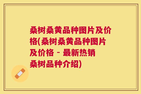 桑树桑黄品种图片及价格(桑树桑黄品种图片及价格 - 新热销桑树品种介绍) 桑树桑黄品种图片及价格(桑树桑黄品种图片及价格 - 新热销桑树品种介绍)