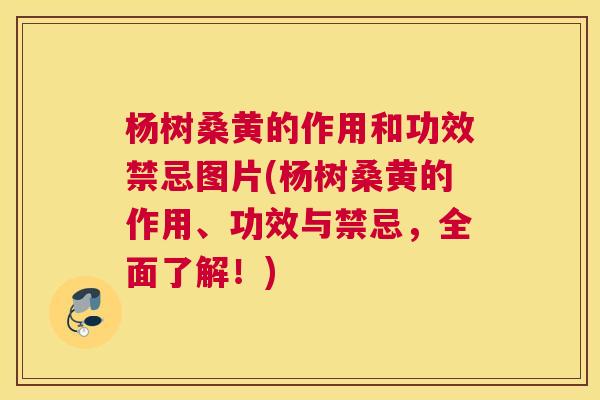 杨树桑黄的作用和功效禁忌图片(杨树桑黄的作用、功效与禁忌,全面了解!) 杨树桑黄的作用和功效禁忌图片(杨树桑黄的作用、功效与禁忌,全面了解!)
