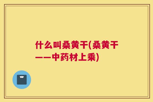 什么叫桑黄干(桑黄干——材上乘) 什么叫桑黄干(桑黄干——材上乘)