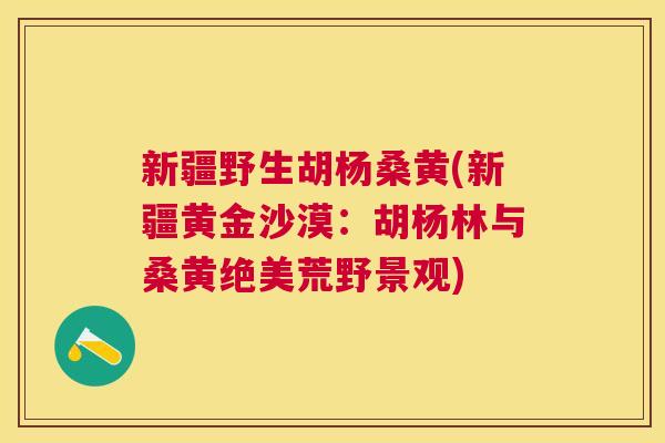 新疆野生胡杨桑黄(新疆黄金沙漠:胡杨林与桑黄绝美荒野景观) 新疆野生胡杨桑黄(新疆黄金沙漠:胡杨林与桑黄绝美荒野景观)