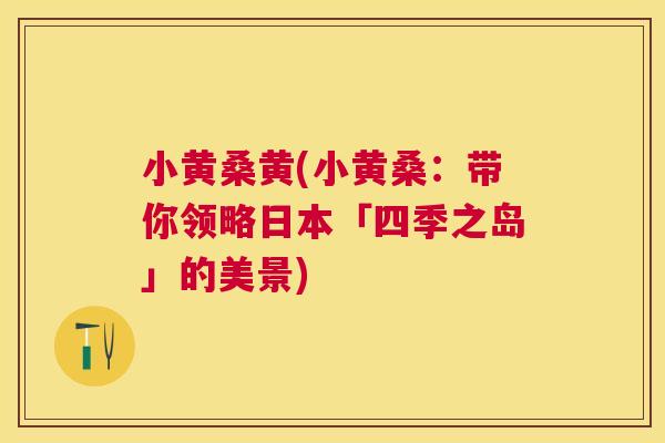 小黄桑黄(小黄桑:带你领略日本「四季之岛」的美景) 小黄桑黄(小黄桑:带你领略日本「四季之岛」的美景)