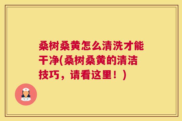 桑树桑黄怎么清洗才能干净(桑树桑黄的清洁技巧,请看这里!) 桑树桑黄怎么清洗才能干净(桑树桑黄的清洁技巧,请看这里!)