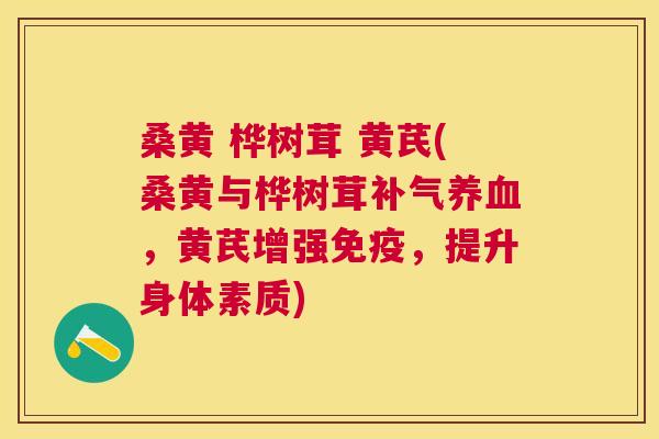 桑黄 桦树茸 黄芪(桑黄与桦树茸,黄芪增强,提升身体素质) 桑黄 桦树茸 黄芪(桑黄与桦树茸,黄芪增强,提升身体素质)