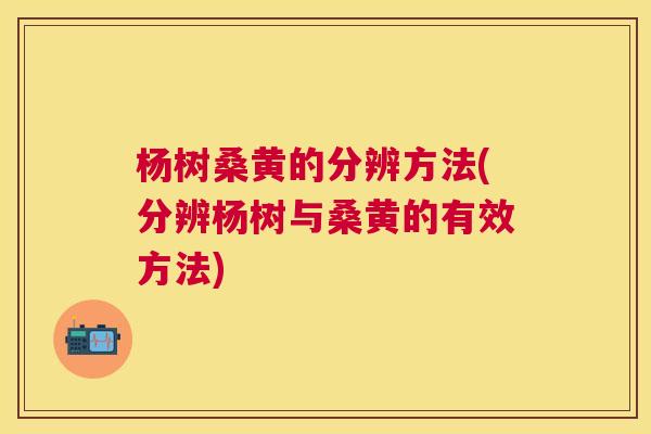 杨树桑黄的分辨方法(分辨杨树与桑黄的有效方法) 杨树桑黄的分辨方法(分辨杨树与桑黄的有效方法)