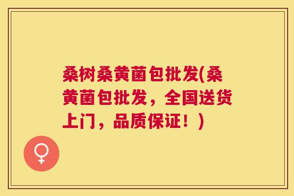 桑树桑黄菌包批发(桑黄菌包批发,全国送货上门,品质保证!) 桑树桑黄菌包批发(桑黄菌包批发,全国送货上门,品质保证!)
