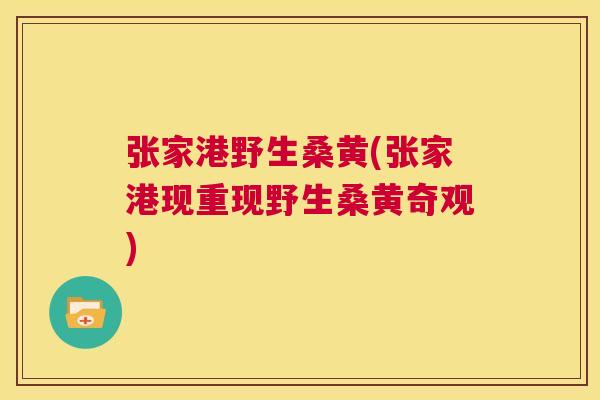 张家港野生桑黄(张家港现重现野生桑黄奇观) 张家港野生桑黄(张家港现重现野生桑黄奇观)