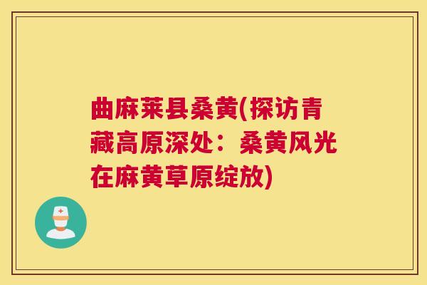 曲麻莱县桑黄(探访青藏高原深处：桑黄风光在麻黄草原绽放)
