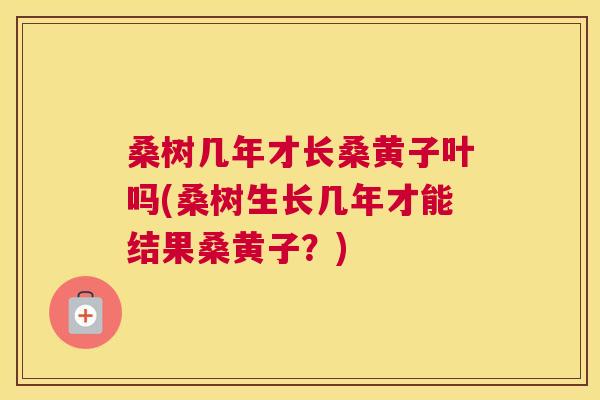 桑树几年才长桑黄子叶吗(桑树生长几年才能结果桑黄子?) 桑树几年才长桑黄子叶吗(桑树生长几年才能结果桑黄子?)