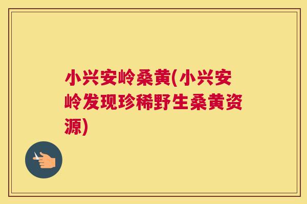 小兴安岭桑黄(小兴安岭发现珍稀野生桑黄资源) 小兴安岭桑黄(小兴安岭发现珍稀野生桑黄资源)