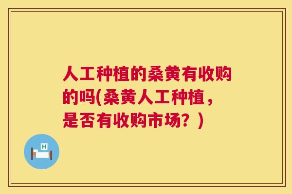 人工种植的桑黄有收购的吗(桑黄人工种植,是否有收购市场?) 人工种植的桑黄有收购的吗(桑黄人工种植,是否有收购市场?)