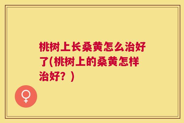 桃树上长桑黄怎么好了(桃树上的桑黄怎样好?) 桃树上长桑黄怎么好了(桃树上的桑黄怎样好?)