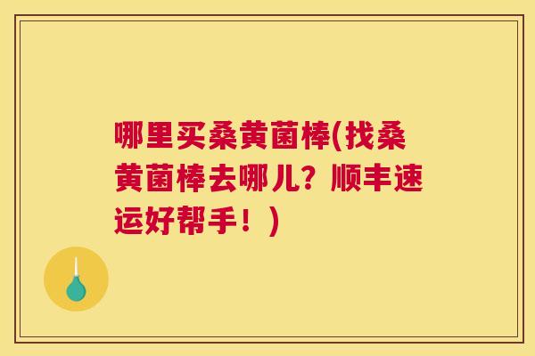 哪里买桑黄菌棒(找桑黄菌棒去哪儿?顺丰速运好帮手!) 哪里买桑黄菌棒(找桑黄菌棒去哪儿?顺丰速运好帮手!)