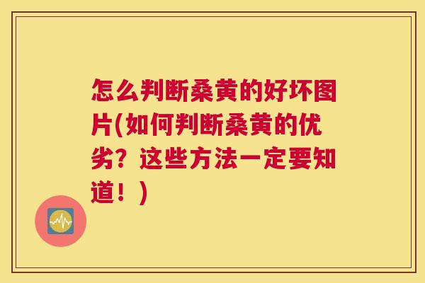 怎么判断桑黄的好坏图片(如何判断桑黄的优劣?这些方法一定要知道!) 怎么判断桑黄的好坏图片(如何判断桑黄的优劣?这些方法一定要知道!)