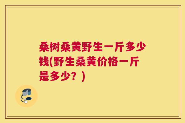 桑树桑黄野生一斤多少钱(野生桑黄价格一斤是多少?) 桑树桑黄野生一斤多少钱(野生桑黄价格一斤是多少?)