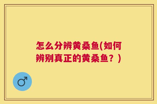 怎么分辨黄桑鱼(如何辨别真正的黄桑鱼?) 怎么分辨黄桑鱼(如何辨别真正的黄桑鱼?)