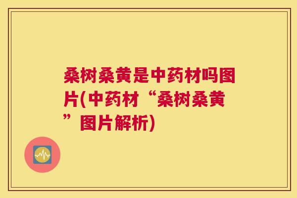 桑树桑黄是材吗图片(材“桑树桑黄”图片解析) 桑树桑黄是材吗图片(材“桑树桑黄”图片解析)