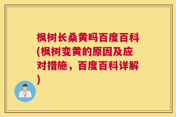 枫树长桑黄吗百度百科(枫树变黄的原因及应对措施,百度百科详解) 枫树长桑黄吗百度百科(枫树变黄的原因及应对措施,百度百科详解)