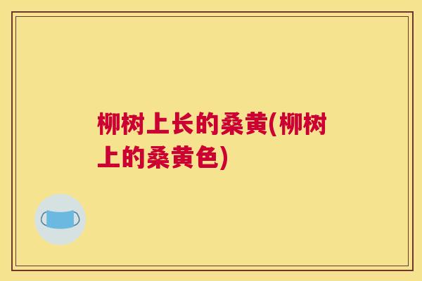 柳树上长的桑黄(柳树上的桑黄色) 柳树上长的桑黄(柳树上的桑黄色)